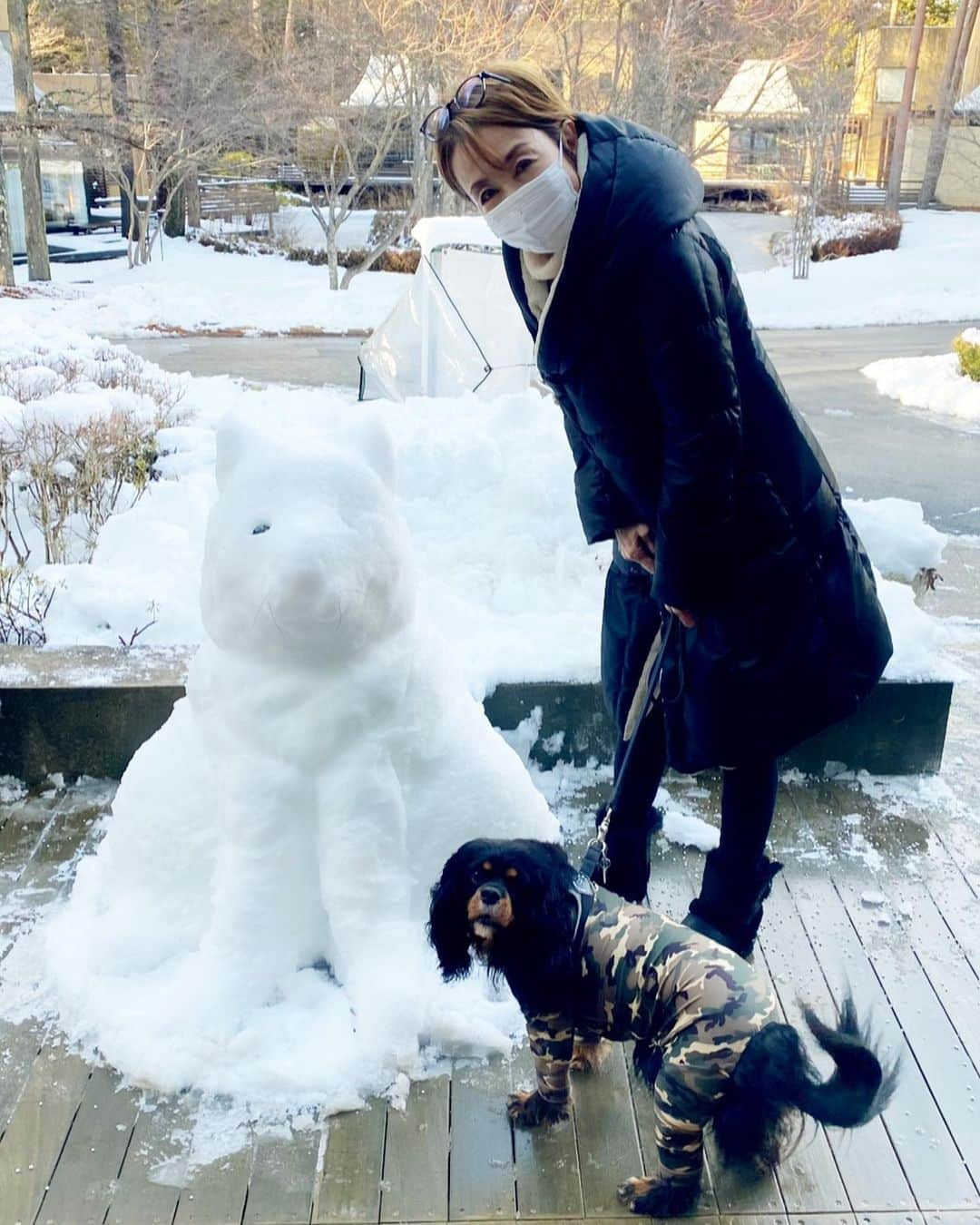 奈美悦子さんのインスタグラム写真 - (奈美悦子Instagram)「雪ワンコとクッキー！そして雪牛😊 クッキー雪遊びでテンションMAX #雪 ＃雪だるま#雪ワンコ#雪牛#クッキー #愛犬 #キャバリアキングチャールズスパニエル ＃ブラックタン#テンションmax #犬は喜び雪駆け回り #可愛い #寒い」1月26日 9時22分 - nami.etsuko