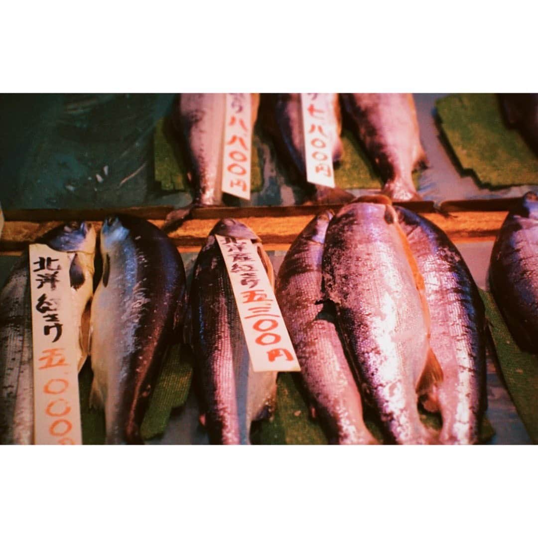 東海林クレア（くれたん）さんのインスタグラム写真 - (東海林クレア（くれたん）Instagram)1月26日 9時36分 - crea_shoji
