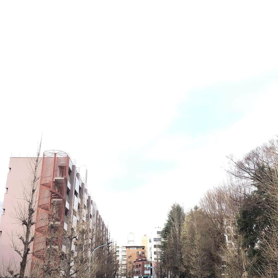 Pho 321 Noodle barのインスタグラム：「local delivery service ‘chompy’の配達エリア拡大のおしらせ⛅️📮  もうすぐ立春、shibuya station 🚉半径3km圏内からスタートした国内初のデリバリーサービスもまあるく8区内でエリア拡大、より遠くのお客さまにお届け出来るようになりました。  ⚫︎渋谷区全域  ⚫︎目黒区全域  ⚫︎港区　 芝1-5 東新橋1-2 新橋1-6 西新橋1-3 三田1-5  浜松町1-2 芝大門1-2 芝公園1-4 虎ノ門1-5  愛宕1-2 麻布狸穴町 麻布永坂町  南麻布1-5  元麻布1-3 西麻布1-4 六本木1-7 麻布台1-3  麻布十番1-4 東麻布1-3 元赤坂1-2 赤坂1-9 南青山1-7 北青山1-3 高輪1-4 白金1-6 白金台1-5  ⚫︎世田谷区 池尻1-4 三宿1-2 太子堂1-5 三元茶屋1-2 若林1-5 世田谷1-4 桜1-3 弦巻1-5 経堂1-5 宮坂1-3  桜丘1-5 下馬1-3 野沢1-4 上馬1-5 駒沢1-5  代田1-6 梅丘1-3 豪徳寺1-2 代沢1-5 羽根木1-2  大原1-2 北沢1-5 松原1-6 赤堤1-5 桜上水1-5  奥沢1-8 等々力2-8 尾山台3 上野毛1 上野毛4  中町1-5 上用賀1-6 用賀1-4 瀬田3 玉川台1-2  駒沢公園　新町1-3 桜新町1-2 深沢1-8 船橋1 船橋3 船橋5 上北沢1  ⚫︎品川区 荏原1-7 大崎1-5 上大崎1-4 北品川1-6 小山1-7  小山台1-2 戸越1-6 西五反田1-8 西品川1-3  西中延1-3 旗の台1-6 東五反田1-5 東中延1-2  平塚駅1-3 広町1-2 豊町1-3  ⚫︎中野区 南台1-5 弥生町1-6 本町1-6 中央1-5 東中野1-5  中野1-6 上高田1-5 新井1-5  ⚫︎杉並区 方南1-2 和泉1-4 下高井戸1-3 永福1-4 浜田山1  和田1-3 堀之内1-3 松ノ木1-3 大宮1-2 梅里1  高円寺南1 高円寺南5 成田東1  ⚫︎千代田区 内幸町1-2 霜が関1-3 永田町1-2 隼町　平河町1-2 麹町1-6 紀尾井町　日比谷公園　九段南1-4  九段北1-4 富士見1-2 飯田橋1-4 一番町　二番町　 三番町　四番町　五番町　六番町  chompyのアプリケーションをDLのうえ、uber eatsと併せご都合に合わせてご注文くださいませ。  パクチー抜き、ピーナッツ抜き、麺とスープ別(フォー)等 店内でお召し上がりいただく時と同じように　出来る限り　ひとりひとりのお客さまに合わせてお作りし、届けたいと思います。 ご要望ありましたらレビューやメッセージにコメントをお願い致します。  数量限定でマーラカオも蒸しました🐼  本日も　善き日になりますように  today’s 📻i can only bliss out(F’days) - flow joy from’sun piano’/laraaji   delivery service🚵‍♀️ ⚫︎mom.-fri. 11:30am opening  5:30pm last call  ⚫︎every saturday 11:30am opening  7:30pm last call  #chompy #deliveryfood #デリバリー　 #pho321 #sunpiano #flowjoy #allsaints」