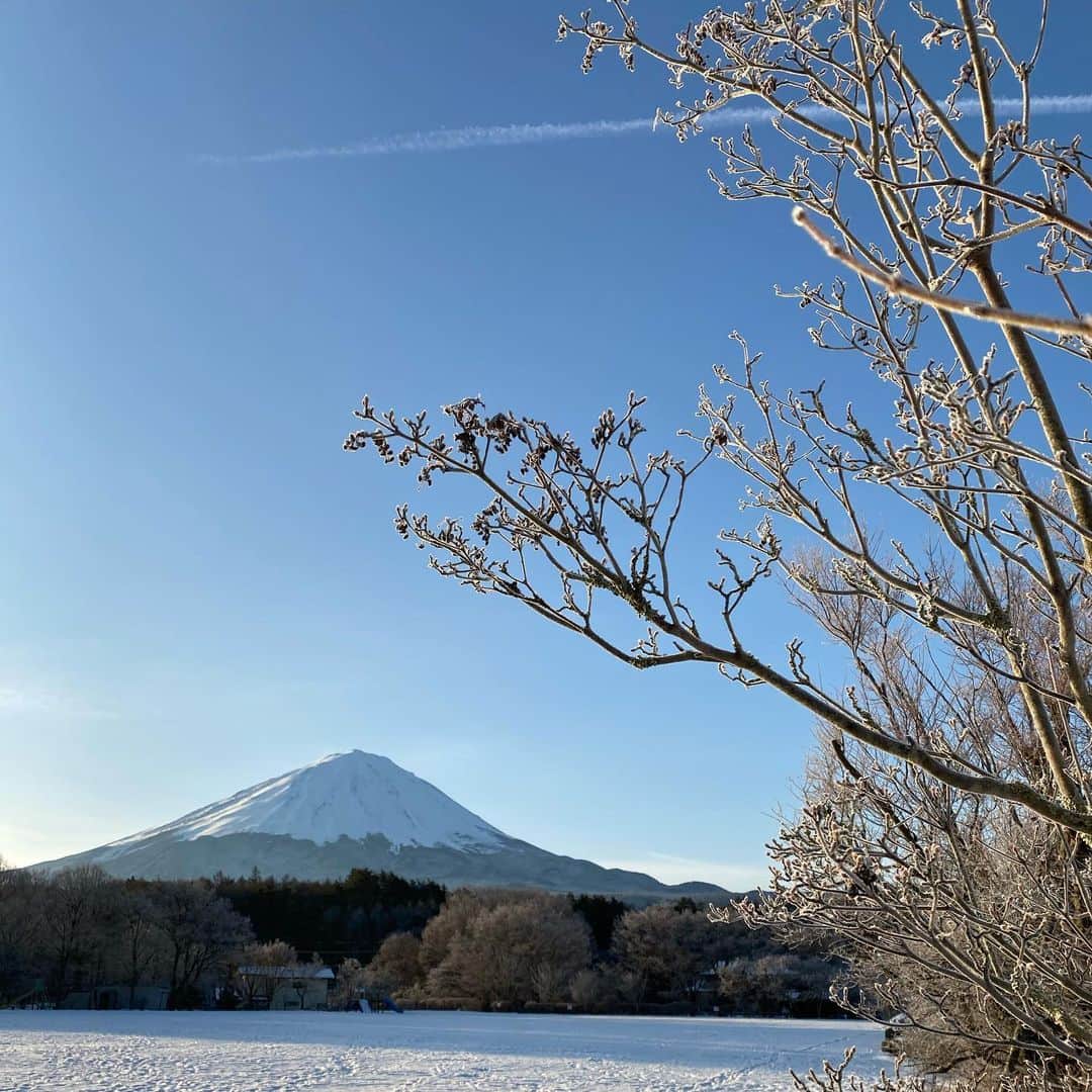 岡田美里さんのインスタグラム写真 - (岡田美里Instagram)「鳴沢村ジラゴンノ？寒いデショ？ って山梨の人は必ず言います。  けど、私はここの四季が好きで… あの交差点までは雨なのに、ウチのあたりは雪…そこが東京生まれにはグッときます。  夏でもクーラーがいらない村。 そこからみなさんに富士山と樹氷とひこうき雲を。  #おはようございます  #JAPAN #japan_morning_view  #富士山  #mtfuji」1月26日 10時22分 - millieokada