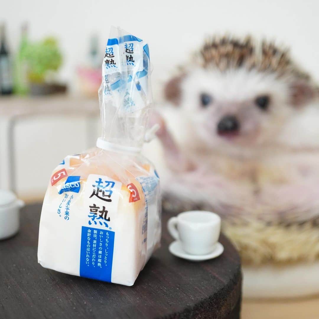 RONのインスタグラム