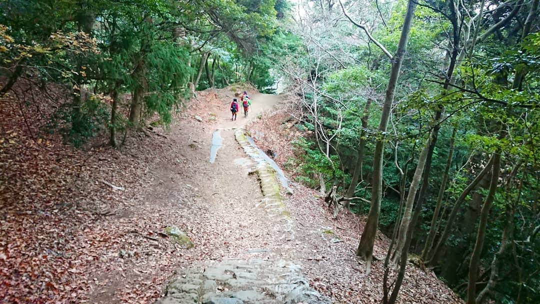 桜花のインスタグラム：「おはようございマウンテン🗻🍀  本日もナイスな１日にいたしましょ✨  今日も、栄養とって参りましょう🍀  緑でラッキーつかみどり！✨」