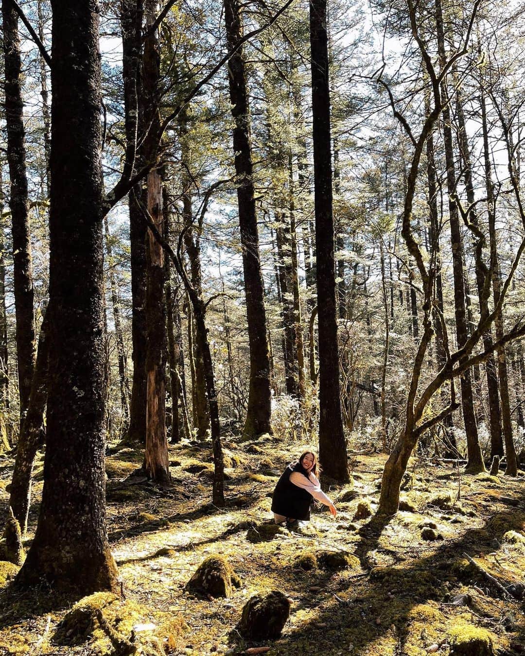 リウ・ウェンのインスタグラム：「🌲Blending in🌲」