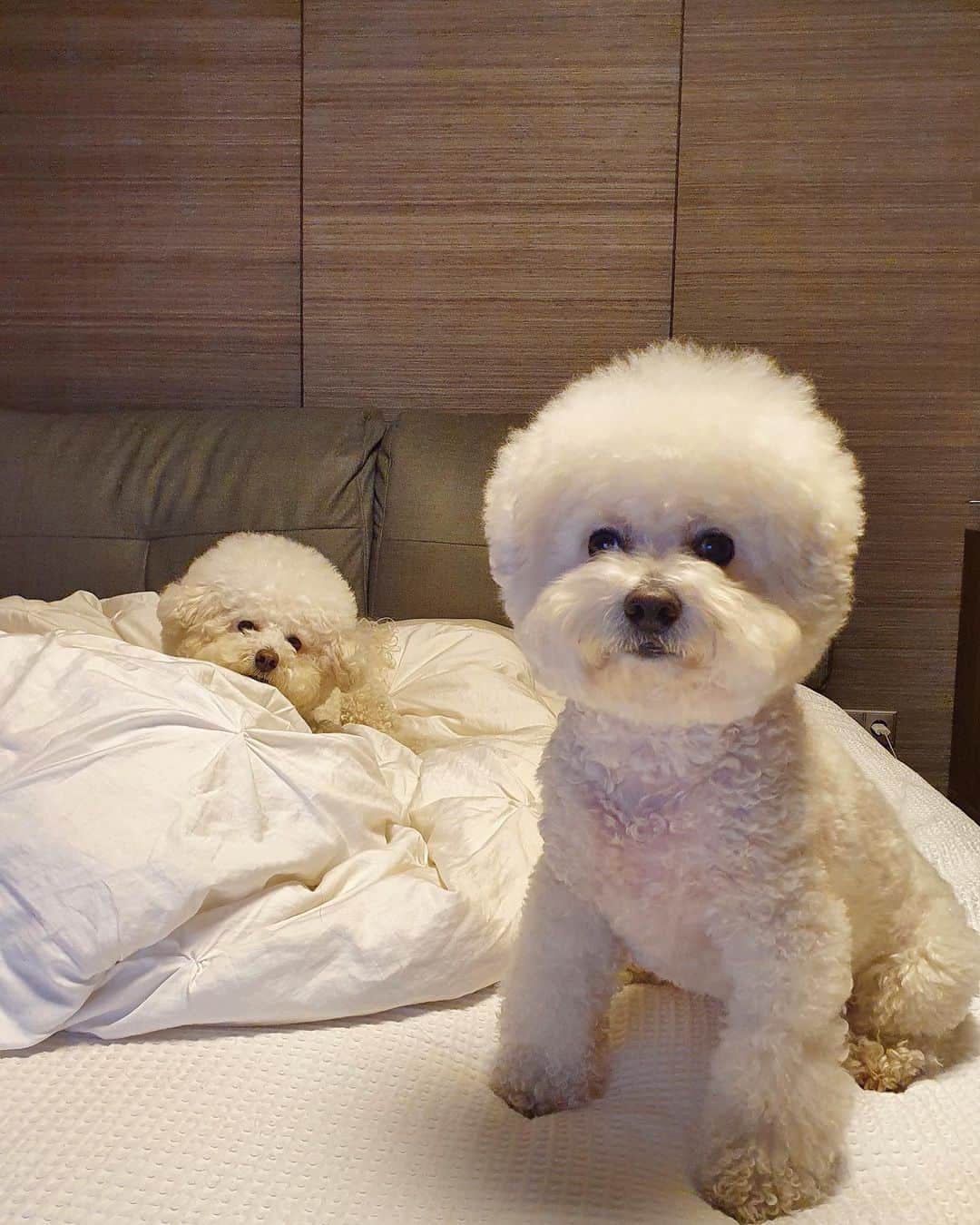 シン・セギョンのインスタグラム：「왜 아직 화요일.... #runon」