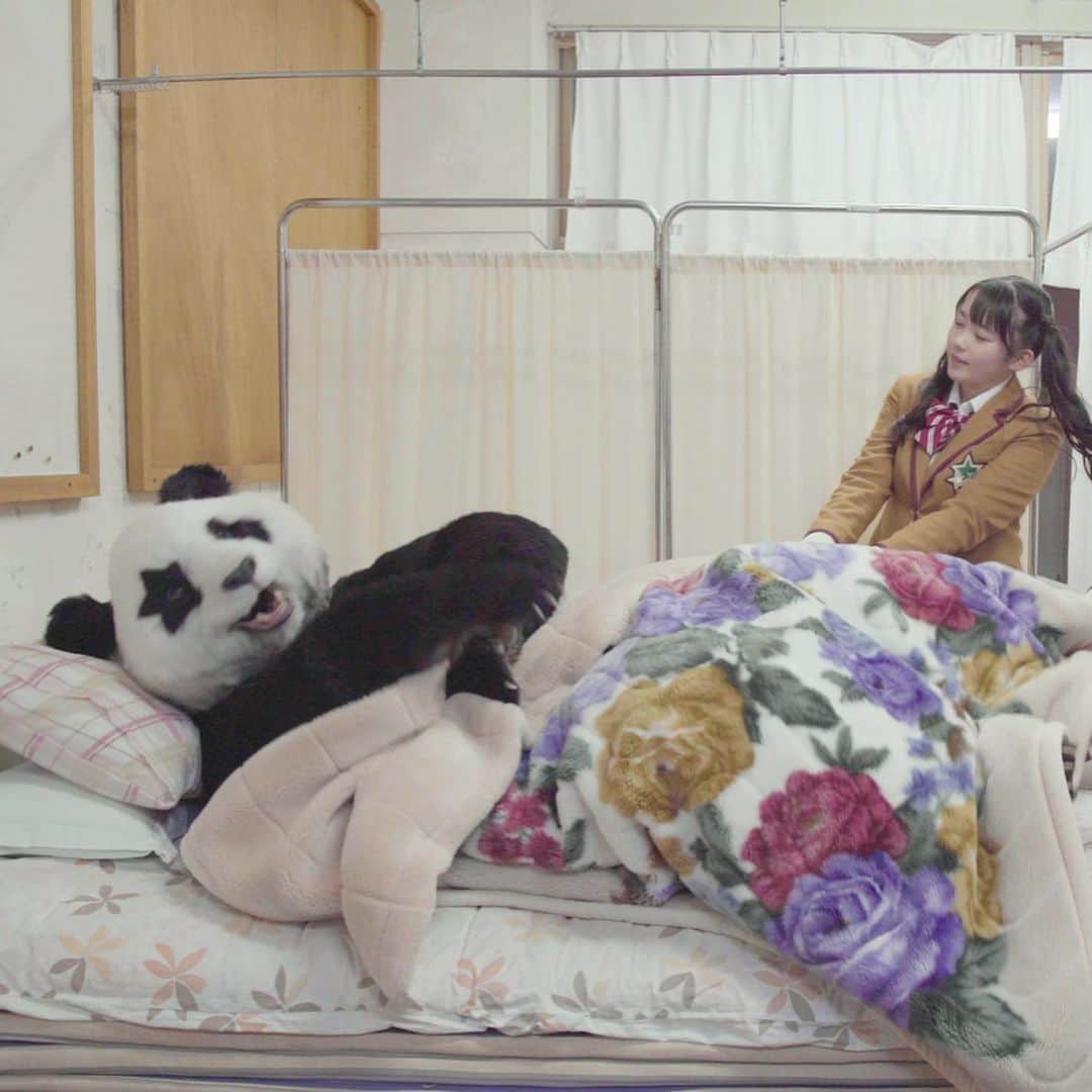 星星（セイセイ）さんのインスタグラム写真 - (星星（セイセイ）Instagram)「🛌🌀🐼 #サボり？ #良い子は真似しないでね #保健室最高 . きょうの #ベラベラENGLISHは ...💯 🌟upstairs 🌟2階 . ...サボりじゃないもん🐼 でも、授業飽きちゃうんだもん🐼 行きたくないんだもん🐼 #すねパンダ #お布団最高  . #星星 #パンダ #panda #pandagram #パンダ好きな人と繋がりたい #ZIP!」1月26日 13時37分 - seisei_panda