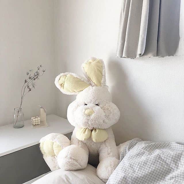 メルのインスタグラム：「🐇」