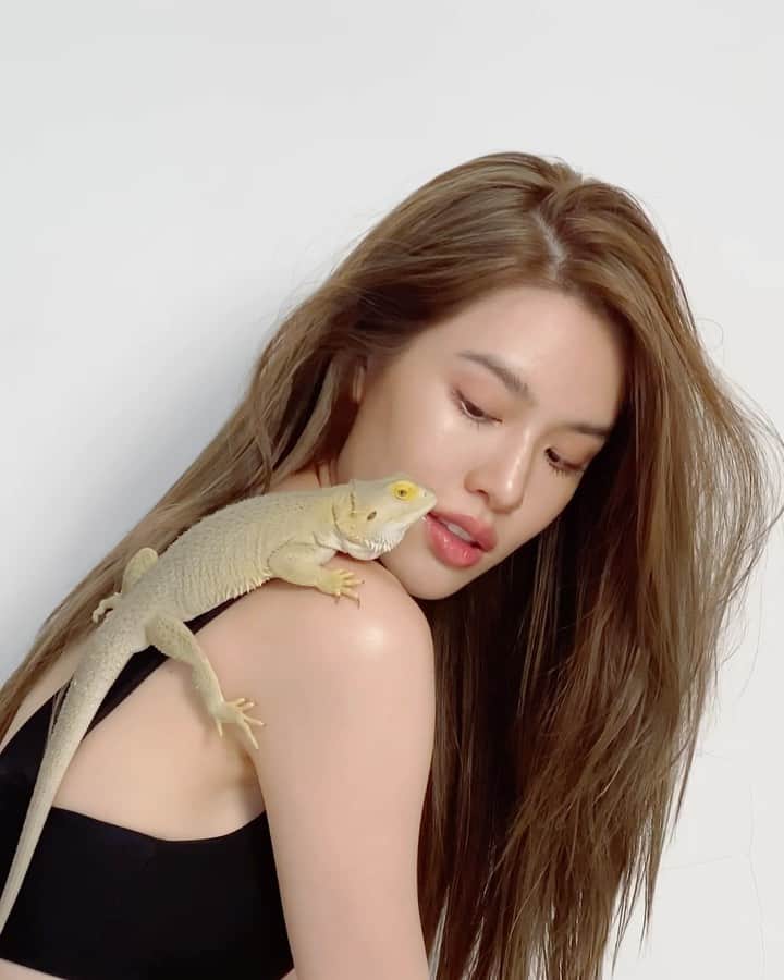 グレース＝カンクラオのインスタグラム：「Cutie pie 💛🦎✨ #ว่านอนสอนง่าย #จีบได้ไม่ดื้อ」