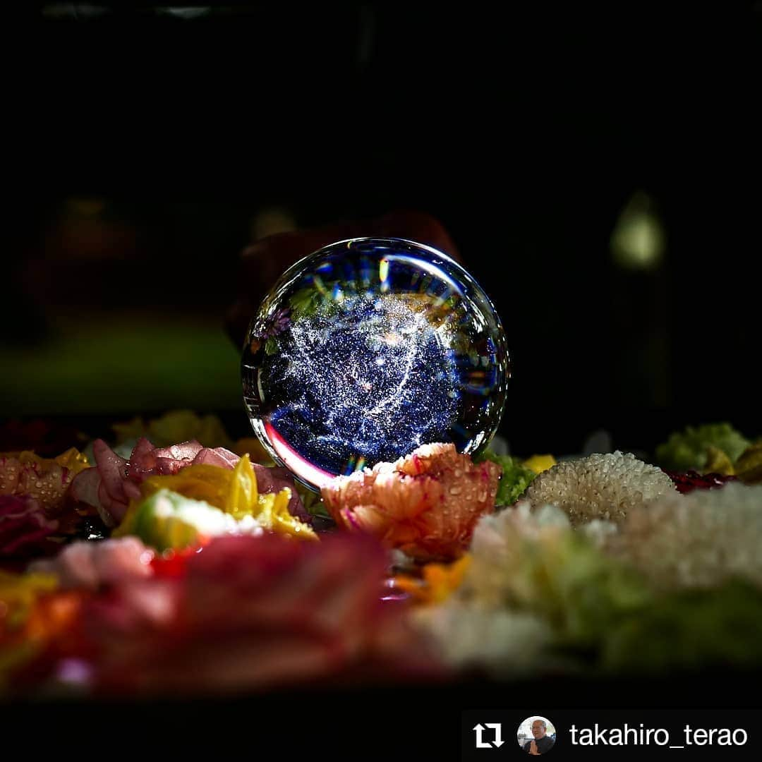 カメラのキタムラさんのインスタグラム写真 - (カメラのキタムラInstagram)「#Repost @takahiro_terao • • • • • • 都農神社  Beautiful World.  水晶玉の中の宇宙。  ※ 水晶玉は、許可を得た上で設置しています。  Camera:LUMIX DC-G9 Lens:M.ZUIKO DIGITAL ED 45mm F1.2 PRO Date:2021/01/24  #miyazaki_colors  #miyazakinavi  #miyazaki_agri  #discovermiyazaki  #love_miyazaki  #lumixg9pro  #zuiko45mm #bokeh #宮崎県  #都農町  #都農神社  #花手水 #水晶玉 #水晶玉撮影隊 #ボケフォトファン #キタムラ写真投稿」1月26日 14時18分 - camera_kitamura