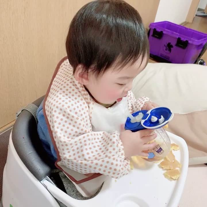桜 稲垣早希のインスタグラム：「最近出来るようになったストローマグをドヤ顔で飲んでむせる。😇 #生後11ヶ月男の子 #ストローマグ #麦茶がどうしてもダメでルイボスティーで解決」