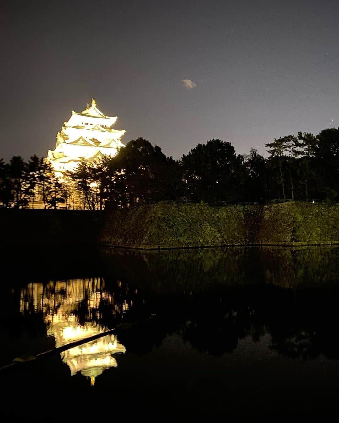 きゃっするひとみーさんのインスタグラム写真 - (きゃっするひとみーInstagram)「名古屋城pic  一昨年も訪れた名古屋城ですが、夜に行くのは初めて。  壮大な堀に見事に浮かぶ立派すぎる櫓と城。大阪城よりも広い掘幅には流石に震えた。この写真に映るヤグラは、ちっちゃい天守よりも大きくて立派。徳川の作る城は櫓がでかい。大阪城もしかり。  私が城ランをしててすきなところは、走って向かう途中に現代の景観のなかにポツッと城が見えた時。  わたしはいまどの時代にいるんやろ。。って一気にタイムスリップできる😎✨  名古屋の夜に浮かぶ城。最高やったなぁ。。  以前にも書いてますが、 徳川家康が天下普請で作り上げた巨大城郭 。当時豊臣家は大阪城に健在で、対大阪対策として建てた城。 . 全てが規格外。大きいし豪華。すごかった。天皇家の城の時期もあった。✨✨徳川家康にまつわるお城は結構めぐりましたが、ほんとに全てが圧倒的！！！ . 築城には加藤清正も関わっていて、石垣がとにかく最高。そして清正の築城の特徴でもある実践的な作り。🏯（清正は熊本城にも関わってますよ） . 空堀と水堀が半々くらいなのも印象的。大阪城と同じで、台地の上にあるので地形的なものかな。😊✨ . まだまだ攻略しがいがある名古屋城！もう少し写真あるのでまた載せまーす🥺💓  この写真がiPhone11で撮れる世界。  #きゃっするのきたおしろ #お城マニア #日本城郭検定 #お城を走るヒト  #名古屋城 #城女 #シロサバニスト」1月27日 0時20分 - takaxjumppp