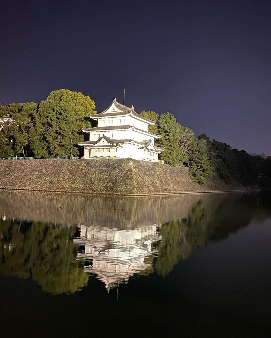 きゃっするひとみーさんのインスタグラム写真 - (きゃっするひとみーInstagram)「名古屋城pic  一昨年も訪れた名古屋城ですが、夜に行くのは初めて。  壮大な堀に見事に浮かぶ立派すぎる櫓と城。大阪城よりも広い掘幅には流石に震えた。この写真に映るヤグラは、ちっちゃい天守よりも大きくて立派。徳川の作る城は櫓がでかい。大阪城もしかり。  私が城ランをしててすきなところは、走って向かう途中に現代の景観のなかにポツッと城が見えた時。  わたしはいまどの時代にいるんやろ。。って一気にタイムスリップできる😎✨  名古屋の夜に浮かぶ城。最高やったなぁ。。  以前にも書いてますが、 徳川家康が天下普請で作り上げた巨大城郭 。当時豊臣家は大阪城に健在で、対大阪対策として建てた城。 . 全てが規格外。大きいし豪華。すごかった。天皇家の城の時期もあった。✨✨徳川家康にまつわるお城は結構めぐりましたが、ほんとに全てが圧倒的！！！ . 築城には加藤清正も関わっていて、石垣がとにかく最高。そして清正の築城の特徴でもある実践的な作り。🏯（清正は熊本城にも関わってますよ） . 空堀と水堀が半々くらいなのも印象的。大阪城と同じで、台地の上にあるので地形的なものかな。😊✨ . まだまだ攻略しがいがある名古屋城！もう少し写真あるのでまた載せまーす🥺💓  この写真がiPhone11で撮れる世界。  #きゃっするのきたおしろ #お城マニア #日本城郭検定 #お城を走るヒト  #名古屋城 #城女 #シロサバニスト」1月27日 0時20分 - takaxjumppp