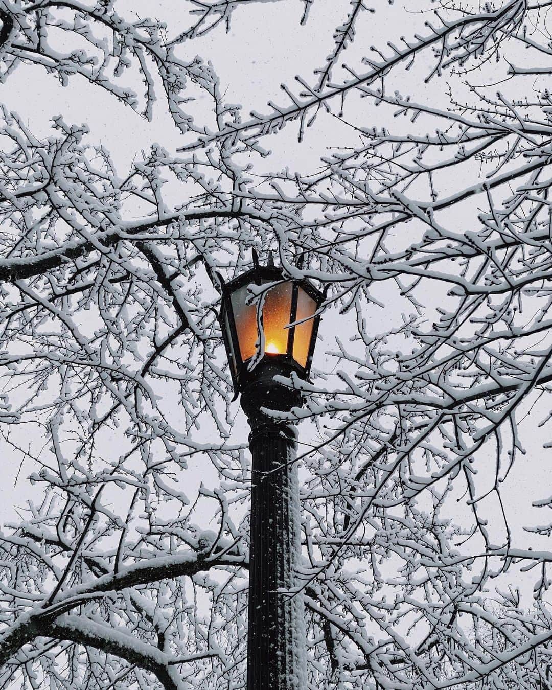 Paul Octaviousさんのインスタグラム写真 - (Paul OctaviousInstagram)「(Start story) It snowed in Chicago. (End story)」1月27日 0時31分 - pauloctavious