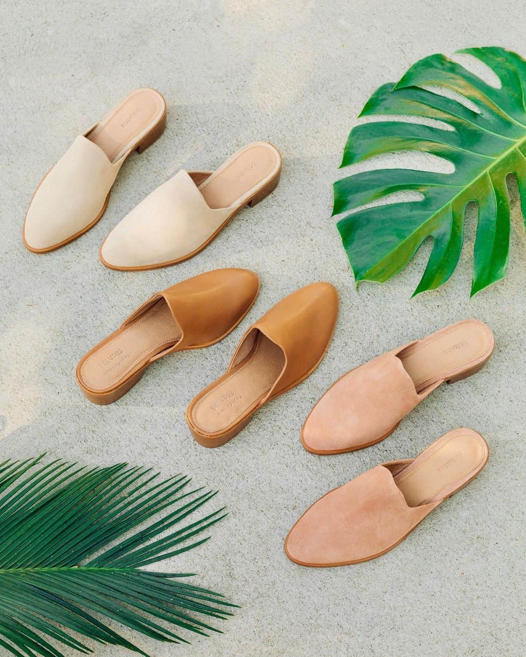 ソルドスのインスタグラム：「✨NEW✨ can you spot our newest additions to the venetian mule family? ⁣ ⁣ swipe right for a closer look at the chicest neutrals: sand and sahara pink! 💕」