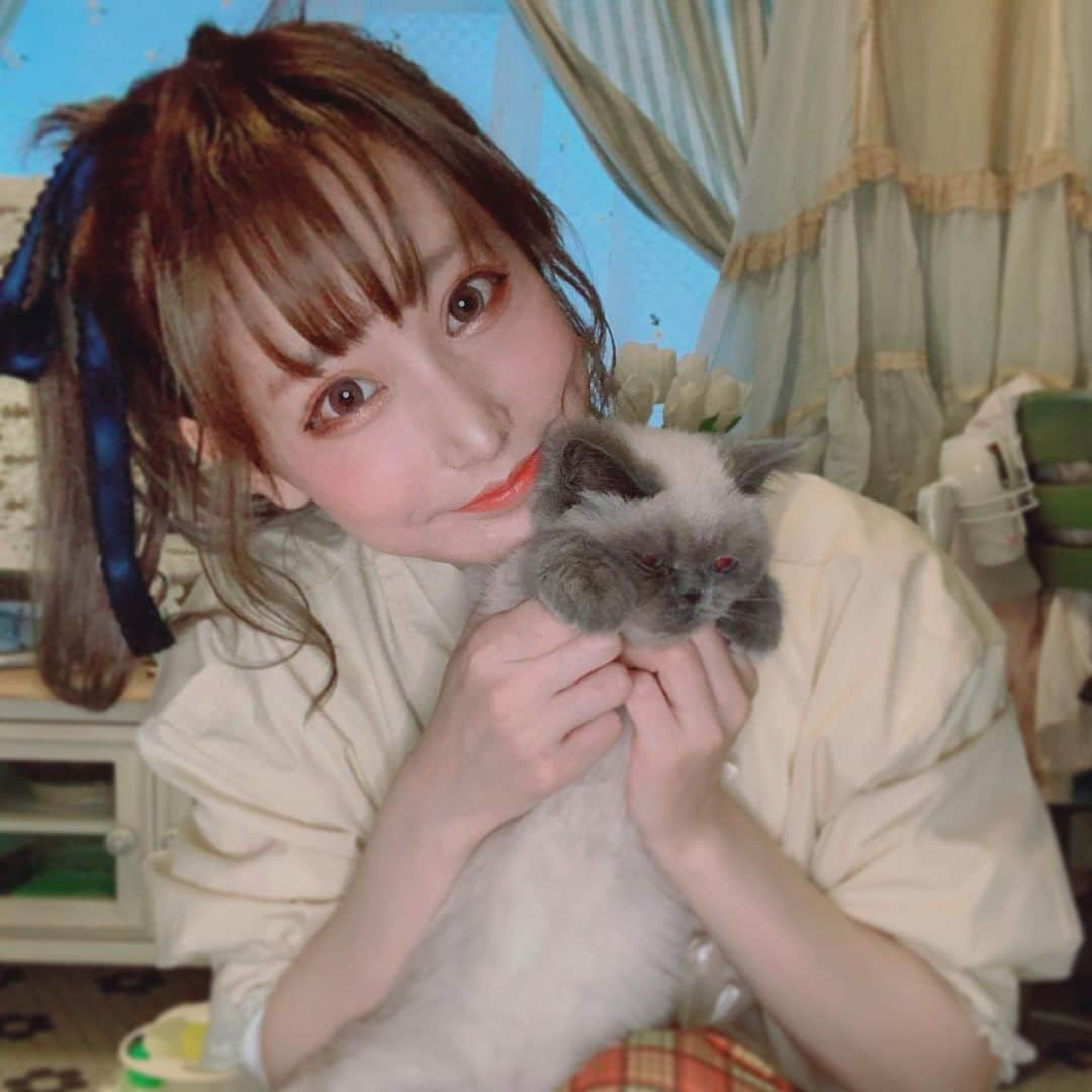 愛野えりさんのインスタグラム写真 - (愛野えりInstagram)「🐈‍⬛」1月27日 1時35分 - ainoeri