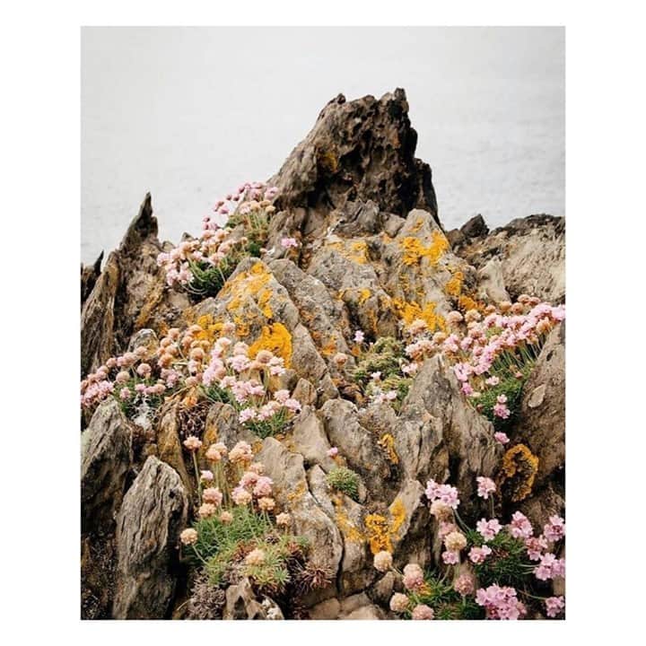 マッタのインスタグラム：「The beauty of it all 🌼💛 Image via @c__l__o」
