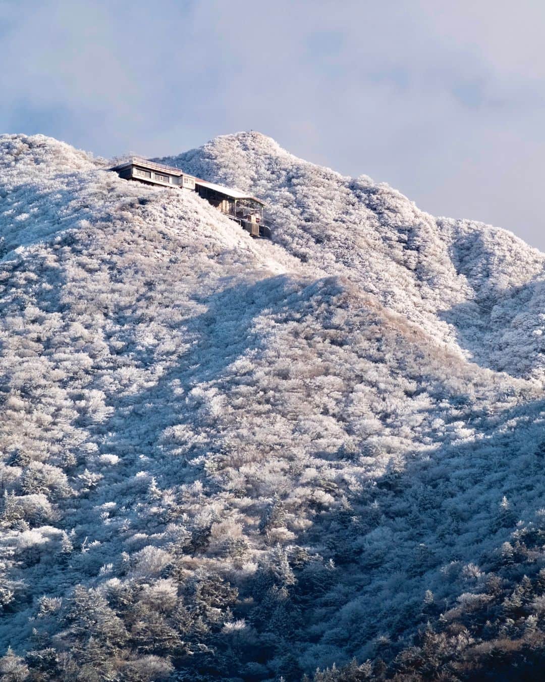 九州電力さんのインスタグラム写真 - (九州電力Instagram)「山全体が白い雪の花でいっぱいに❄⁣ .⁣ 霧や雲が木の幹や枝に吹き付けられて凍った「花ぼうろ」⁣ 今しか見ることのできない冬の芸術をご自宅でお楽しみください☃️⁣ .⁣ 📍雲仙仁田峠（長崎県雲仙市小浜町）⁣ .⁣ 気兼ねなくお出かけできる日が来るまで、お届けする九州の風景が、皆さまの元気や癒しになれば幸いです🍀⁣ 九電グループでは、「あしたプロジェクト～あしたを、しんじて、たすけあおう～」を展開しています。詳しくは、HPをご覧ください✨⁣ .⁣ #九電 #kyuden #九州の灯り #九州ぐらむ #広がり同盟 #九州旅行 #九州 #九州愛 #kyushu #長崎 #nagasaki #ながさき #雲仙 #雲仙市 #unzen #仁田峠 #妙見岳 #山岳写真 #霧氷 #花ぼうろ #雪化粧 #白銀の世界 #絶景 #絶景スポット #日本の絶景 #景色最高 #幻想的な空間 #インスタスポット #フォトスポット #あしたプロジェクト」1月26日 17時00分 - kyuden_official
