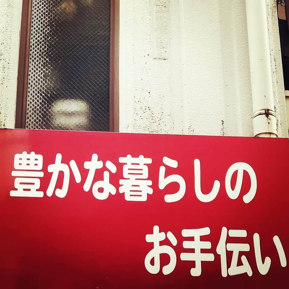 橋本塁さんのインスタグラム写真 - (橋本塁Instagram)「豊かな暮らしのお手伝い #サウシュー　#soundshooter」1月26日 16時53分 - ruihashimoto