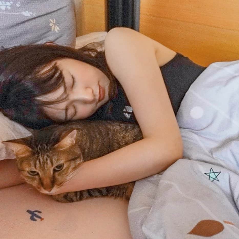 ウー・シンティーのインスタグラム：「下輩子要當雷雷🐈  吃飽睡 睡飽玩 玩飽吃 吃飽睡  🐾」
