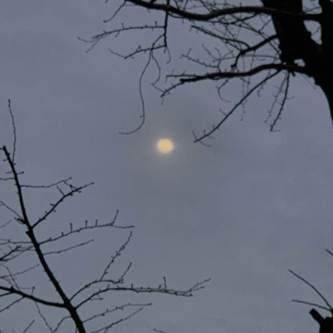 湯川玲菜のインスタグラム：「今日のお空」