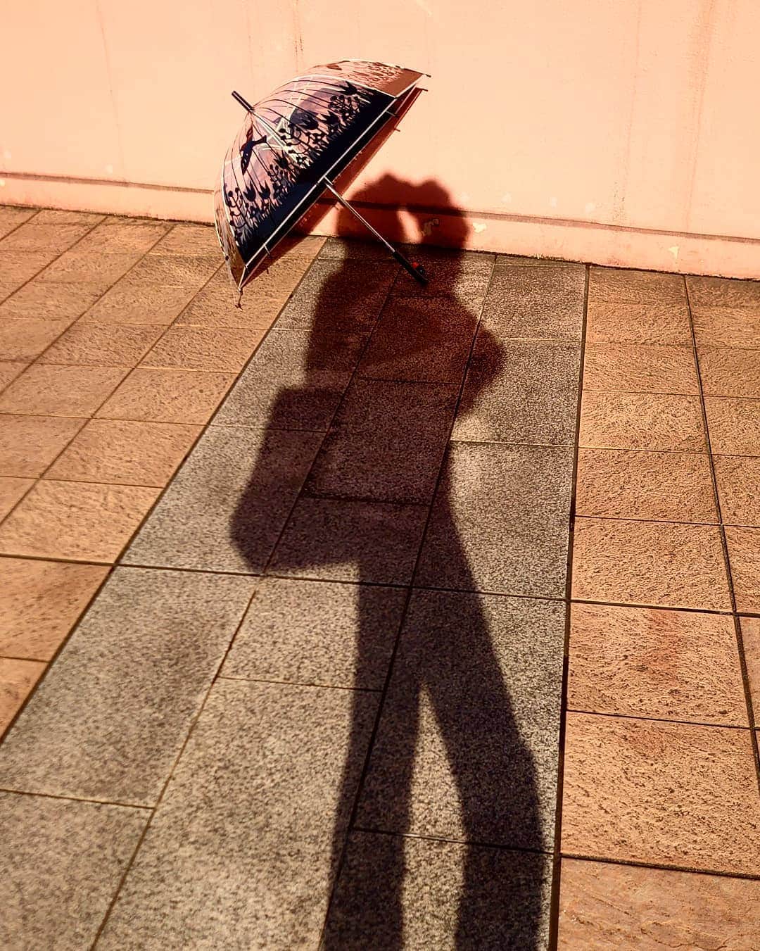 丹遥ニナさんのインスタグラム写真 - (丹遥ニナInstagram)「鳥かご持って、雪でも、雨でも、気分アゲアゲ⤴️💕💖 swipe➡️swipe➡️👑 ・ ・ ドーム型の#傘 が欲しくて探してました、こちら鳥かごブラック @gnocco_jp は可愛らしすぎず超持ちやすい⤴️😀🥰 ・ ・ 重さはそんなに気になりませんでした。デザインもとても可愛くて満足📍⤴️ ・ ・ 結構な大きさですが、しっかりしている感じがしていい！しかも、手開きの部分も痛くなく、特に！持ち手の肉球がシリコンストッパーになっていて、傘が落ちない❣️ ・ ・ 柄も黒の単色なので大人っぽい。もう#雨 の日でも楽しい👅 ・ ・ #ニョッコ #gnocco #PR #楽天 #アマゾン ・ ・  👑👑👑👑👑👑👑👑👑👑👑👑👑👑👑👑👑👑👑 ・ ・ Model @minaninamiji @ninaxiecutelife  ・ ・ 「オロビアンココスメアンバサダー」のニナ専用ページ出来上がりました❣️(インスタ profile URLです) https://suitupstore.com/content.aspx?pg=us1_12 ・ ・ プレゼント考えてる方、気になる方は専用ページに赤の「オロビアンココスメの購入はこちら」から購入できますよ💕💓 ・ ・ ☆丹遥ニナNina手書きかわいいニナキャラクター ラインスタンプ 発売❗ @ninalinestamp から飛べますよ❣️  ・ ・  ☆撮影、PR、仕事の問い合わせはDMで連絡してくださいね～☺️平日、土日祝、相談可能です⤴️ ・ ・  ☆ファッションショー、タレント、ポートレート、サロンモデル、web shop撮影、作品撮影、PR、インフルエンサー、アンバサダー などDMで問い合わせしてくださいね☺️ ・ ・ ☆YouTube、Tiktok、広告、多数メディアに出演してます。芸能、イベント、通訳などのキャスティングもしてます☺️ ・ ・ #モデル #丹遥 #写真好きな人と繋がりたい #痩せる #サロンモデル  #プチプラコーデ #カメラ好きと繋がりたい #春コーデ #コスメ好きさんと繋がりたい #メイク好きな人と繋がりたい #デニム #美活 #韓国ファッション#お洒落さんと繋がりたい #写真撮ってる人と繋がりたい #被写体 #美脚」1月26日 17時35分 - minaninamiji