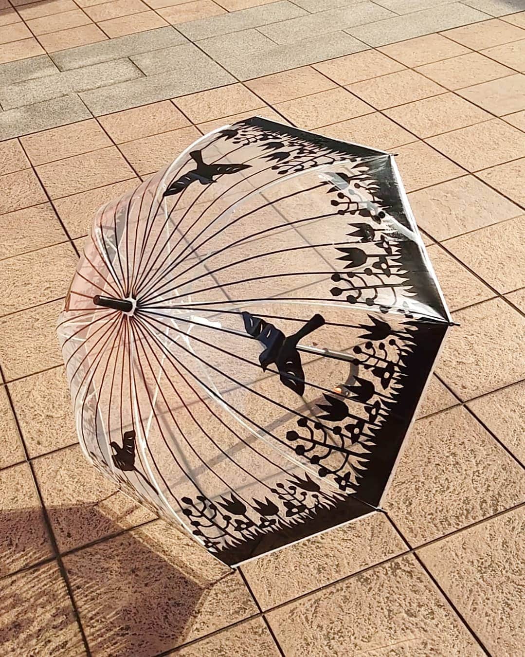 丹遥ニナさんのインスタグラム写真 - (丹遥ニナInstagram)「鳥かご持って、雪でも、雨でも、気分アゲアゲ⤴️💕💖 swipe➡️swipe➡️👑 ・ ・ ドーム型の#傘 が欲しくて探してました、こちら鳥かごブラック @gnocco_jp は可愛らしすぎず超持ちやすい⤴️😀🥰 ・ ・ 重さはそんなに気になりませんでした。デザインもとても可愛くて満足📍⤴️ ・ ・ 結構な大きさですが、しっかりしている感じがしていい！しかも、手開きの部分も痛くなく、特に！持ち手の肉球がシリコンストッパーになっていて、傘が落ちない❣️ ・ ・ 柄も黒の単色なので大人っぽい。もう#雨 の日でも楽しい👅 ・ ・ #ニョッコ #gnocco #PR #楽天 #アマゾン ・ ・  👑👑👑👑👑👑👑👑👑👑👑👑👑👑👑👑👑👑👑 ・ ・ Model @minaninamiji @ninaxiecutelife  ・ ・ 「オロビアンココスメアンバサダー」のニナ専用ページ出来上がりました❣️(インスタ profile URLです) https://suitupstore.com/content.aspx?pg=us1_12 ・ ・ プレゼント考えてる方、気になる方は専用ページに赤の「オロビアンココスメの購入はこちら」から購入できますよ💕💓 ・ ・ ☆丹遥ニナNina手書きかわいいニナキャラクター ラインスタンプ 発売❗ @ninalinestamp から飛べますよ❣️  ・ ・  ☆撮影、PR、仕事の問い合わせはDMで連絡してくださいね～☺️平日、土日祝、相談可能です⤴️ ・ ・  ☆ファッションショー、タレント、ポートレート、サロンモデル、web shop撮影、作品撮影、PR、インフルエンサー、アンバサダー などDMで問い合わせしてくださいね☺️ ・ ・ ☆YouTube、Tiktok、広告、多数メディアに出演してます。芸能、イベント、通訳などのキャスティングもしてます☺️ ・ ・ #モデル #丹遥 #写真好きな人と繋がりたい #痩せる #サロンモデル  #プチプラコーデ #カメラ好きと繋がりたい #春コーデ #コスメ好きさんと繋がりたい #メイク好きな人と繋がりたい #デニム #美活 #韓国ファッション#お洒落さんと繋がりたい #写真撮ってる人と繋がりたい #被写体 #美脚」1月26日 17時35分 - minaninamiji