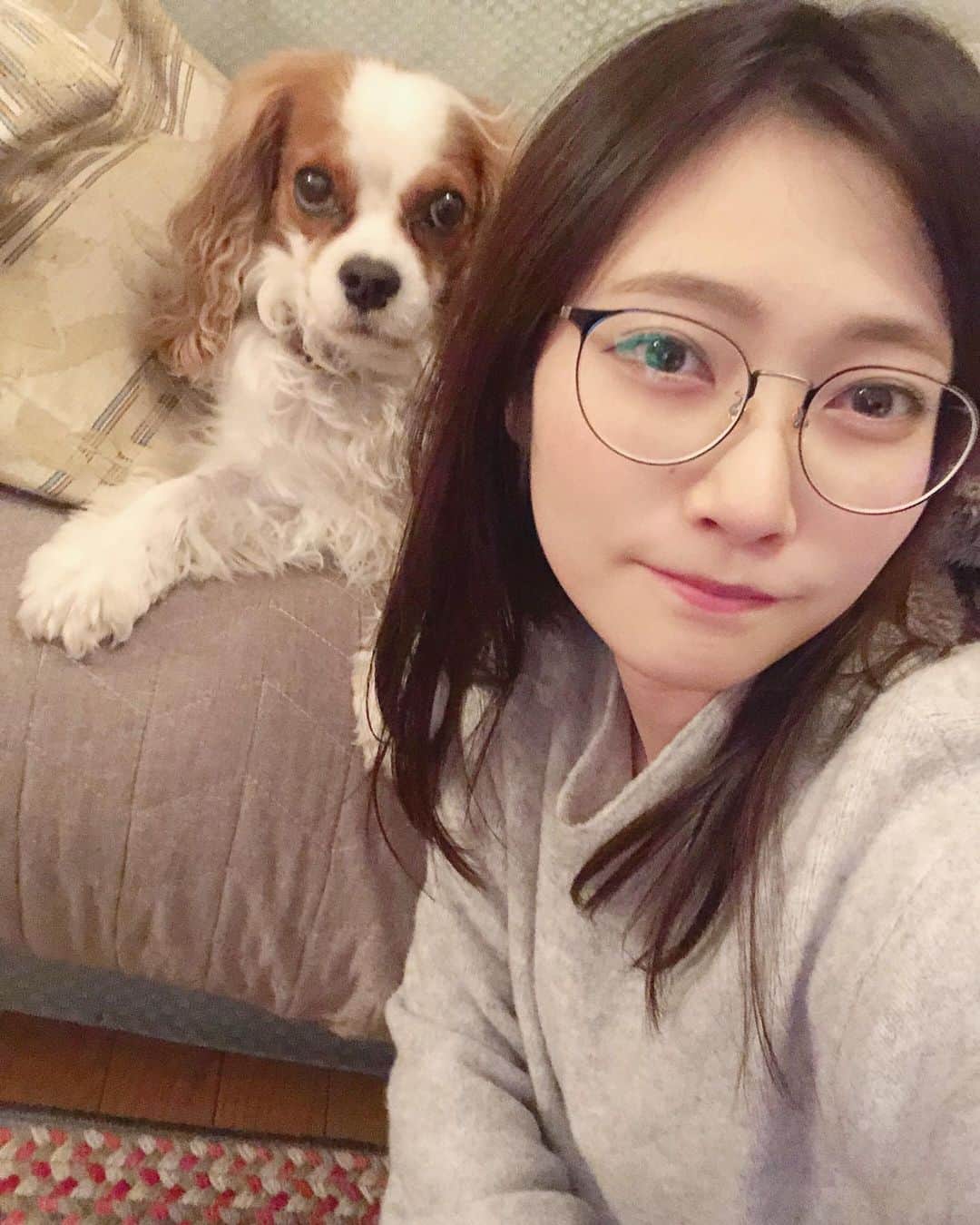 末井櫻子のインスタグラム：「新しい眼鏡買いました〜🥸❤︎ すごく安くて感動😌 ． ． そして 真顔で自撮りに付き合ってくれる相棒🐶笑笑 ． ． ． #家では基本メガネ #最近よく目が乾燥する #たぶんスマホの見すぎ  #🥸」