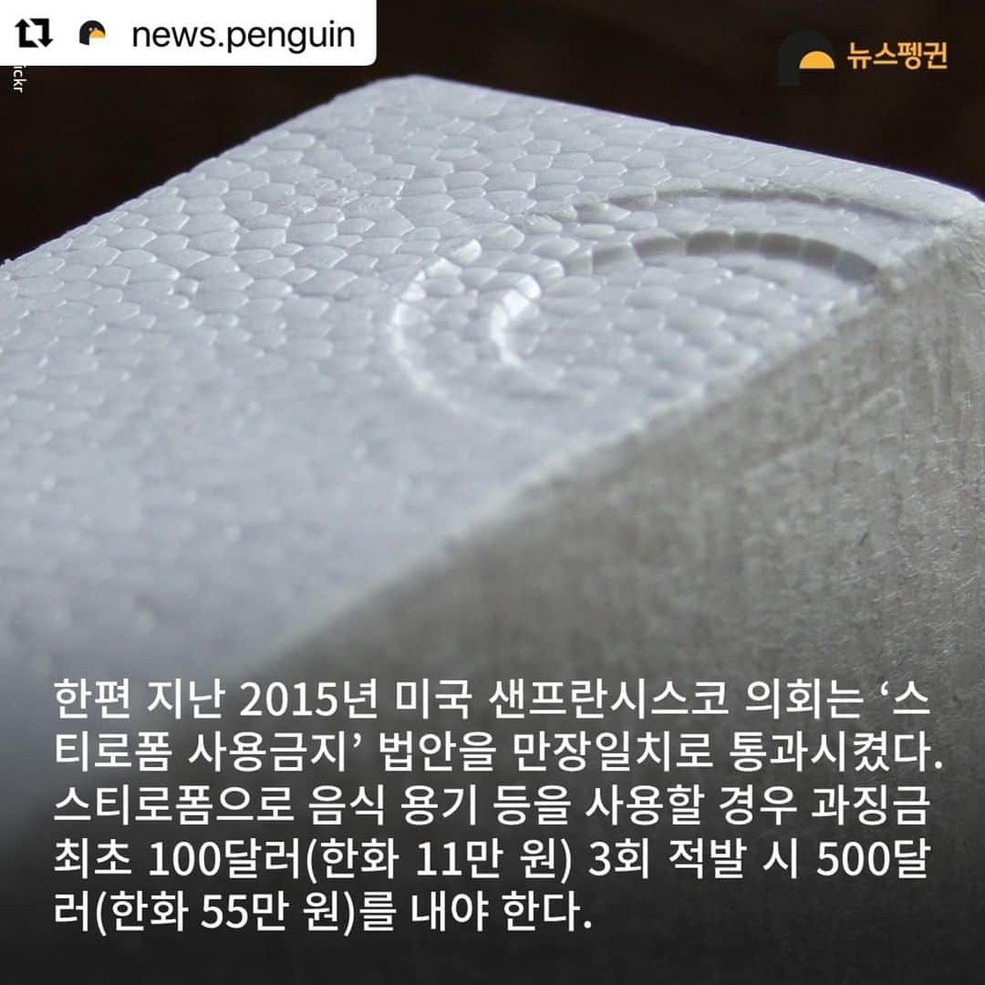 パク・チニさんのインスタグラム写真 - (パク・チニInstagram)「고기 없이는 살아도 해산물 없이는 못 산다는 우리 가족에게는 참 참담한 ㅠㅠ 한국이 1위, 정말 일위라구요???! 😭😭😭 좋아하는 음식, 좋아하는 맛을 느끼기 위해서라도 플라스틱 사용 정말 줄여야겠네요ㅠㅠ​  #noplastic #미세플라스틱 #환경오염 #스티로폼 #부표 #해양오염 #바다아끼기」1月26日 18時01分 - eco_jini