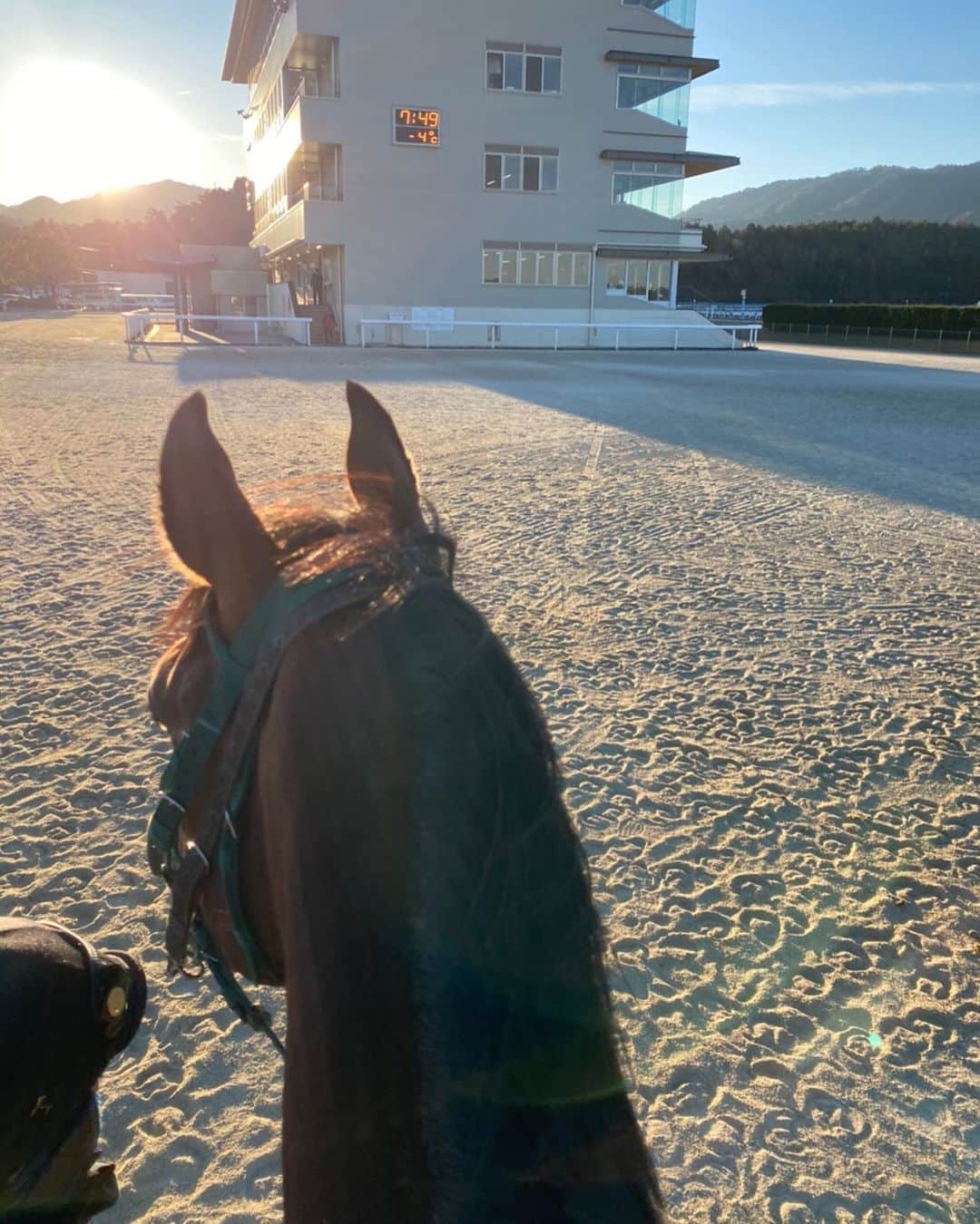 netkeibaさんのインスタグラム写真 - (netkeibaInstagram)「ㅤㅤㅤㅤㅤㅤㅤㅤㅤㅤㅤㅤㅤ ㅤㅤㅤㅤㅤㅤㅤㅤㅤㅤㅤㅤㅤㅤ 【 #鮫島克駿 騎手の Jockey's Diary __✍︎ 】 ㅤㅤㅤㅤㅤㅤㅤㅤㅤㅤㅤㅤㅤ ┈┈┈┈┈┈┈┈┈┈┈┈┈┈ ㅤㅤㅤㅤㅤㅤㅤㅤㅤㅤㅤㅤㅤ こんにちは、鮫島克駿です！ ㅤㅤㅤㅤㅤㅤㅤㅤㅤㅤㅤㅤㅤ 先日の栗東の調教風景です。 ㅤㅤㅤㅤㅤㅤㅤㅤㅤㅤㅤㅤㅤ この日は 今冬一番寒かったと思います🥶 ㅤㅤㅤㅤㅤㅤㅤㅤㅤㅤㅤㅤㅤ 温度計はマイナス4度ですが、 人馬共に週末のレースに向けて しっかりトレーニングを積んでます！ ㅤㅤㅤㅤㅤㅤㅤㅤㅤㅤㅤㅤㅤ 寒いと馬も人間も 筋肉が硬くなりやすいので しっかりほぐして運動するように 心がけてます。 ㅤㅤㅤㅤㅤㅤㅤㅤㅤㅤㅤㅤㅤㅤ ┈┈┈┈┈┈┈┈┈┈┈┈┈┈ ㅤㅤㅤㅤㅤㅤㅤㅤㅤㅤㅤㅤㅤㅤ (?ω?) Jockey's Diary とは ㅤㅤㅤㅤㅤㅤㅤㅤㅤㅤㅤㅤㅤ 美浦、栗東の若手騎手がリレー形式で 気になるプライベートをご紹介する 当アカウント限定コンテンツです！🏇 ㅤㅤㅤㅤㅤㅤㅤㅤㅤㅤㅤㅤㅤ #jockeysdiary #jockeysdiary_sk #jockey #keiba #騎手 #競馬」1月26日 18時00分 - netkeiba