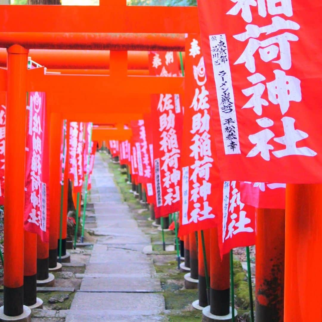 浜田由梨さんのインスタグラム写真 - (浜田由梨Instagram)「稲荷神社ってちょっと苦手だけど、綺麗でかっちょいい⛩暖かくなったらまた着物きてお出かけしたい👘 #佐助稲荷神社 #鳥居 #着物 #着物女子 #japan #japanesegirl #instagood #photography #人力車 #黒髪 #instalike #love」1月26日 18時17分 - yuri_taroo