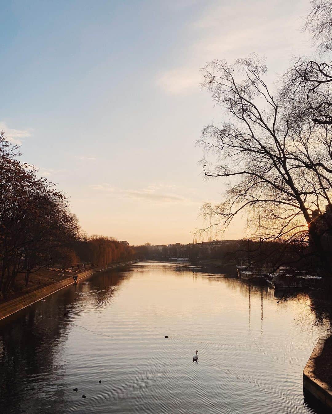 STIL IN BERLINのインスタグラム：「What a yummy morning」