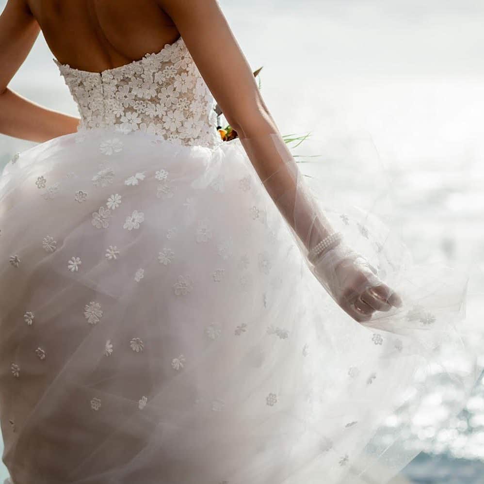 NOVARESE Dress Officialのグルメインスタ