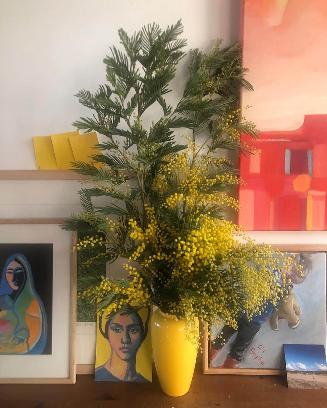 ヤナ・スクラのインスタグラム：「Deze Mimosa-takken ruiken naar de kleuren, de regen en de muziek in Barcelona in februari 2011 waar ik eigenlijk al een beetje verliefd was, maar het nog niet had verteld... nu blijkt dat Mimosa’s, waar de hele stad naar rook, allemaal dingen fluisterden die ik misschien geïnterpreteerd had als lieve woorden. #barcelona #mimosa #proust #piapera #ikhebhetdetuinnognietverteld (dank Marjolijn)」