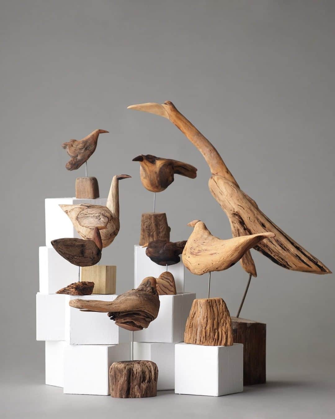 ヒラハルのグルメインスタ