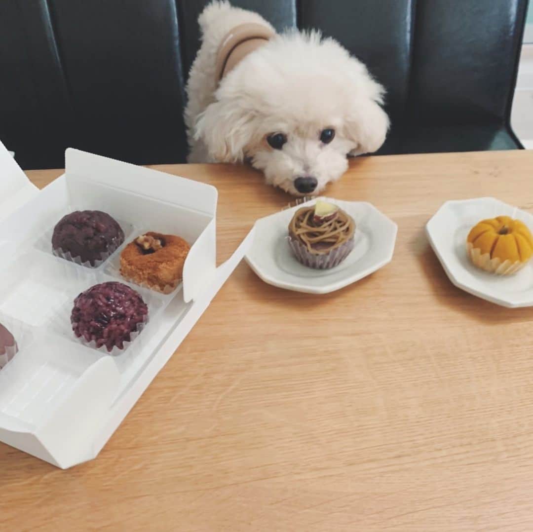 mizuのインスタグラム：「いつかのおはぎ。 また食べたいな♡  今度はロックじゃない方のミシンがどうもおかしい。。　 パーカーとスウェット、どんどん遅れて春になりそう😢 こないだからいろいろありすぎて泣きそう 待っていてくださってる方には申し訳ないです🙇‍♀️」