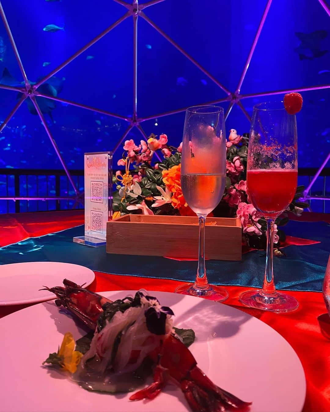木下春奈さんのインスタグラム写真 - (木下春奈Instagram)「・ ・ 巨大な水槽の前にたくさんのドームが並び お魚を眺めながらの優雅なdinner🐠💕 ・ なに？この素敵な空間は？ とずっとわくわくが止まりませんでした。本当に素敵だった〜✨ ・ ・ たくさんお問い合わせをいただいたこちらのレストランは シンガポールのセントーサ島で期間限定で開催されています😉 ・ ・ ・ #singapore#sentosa#dinner#aquagastronomy #水中ダイニング#シンガポール#セントーサ」1月26日 19時10分 - haruna_kinoshita