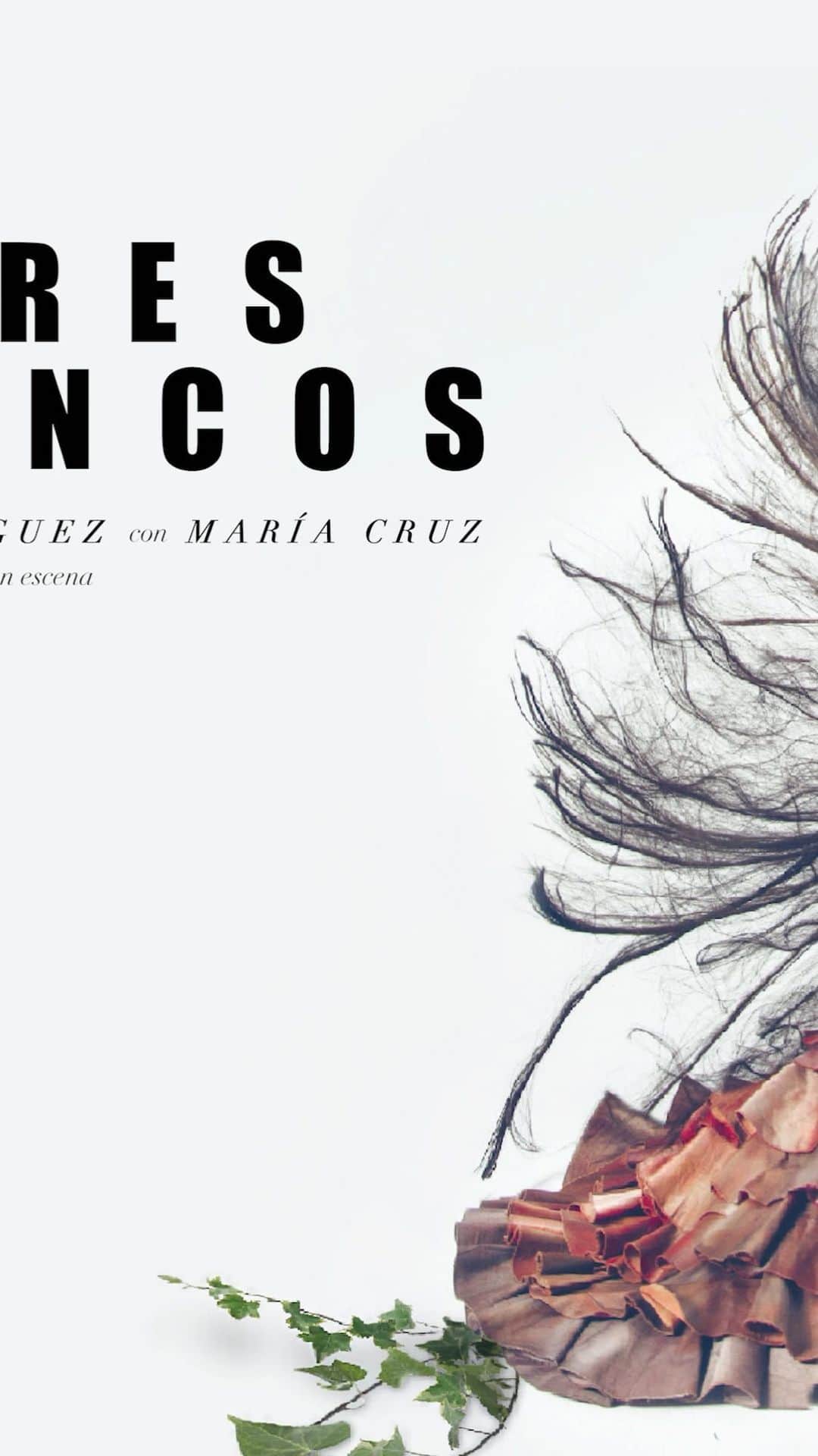 DeFlamenco.comのインスタグラム：「Making of "Amores Flamencos" de Carlos Rodríguez y María Cruz   𝑴𝑨𝑲𝑰𝑵𝑮 𝑶𝑭 "𝑨𝒎𝒐𝒓𝒆𝒔 𝑭𝒍𝒂𝒎𝒆𝒏𝒄𝒐𝒔"   El espacio en el que habitan los artistas es el único lugar para propiciar el dialogo del alma, olvidar esto es como estar ciegos ante la mejor vacuna. Por eso este espectáculo transmite el mensaje de respeto y de compromiso al que debemos de entregarnos los seres humanos, mostrando la danza flamenca española, desde diferentes registros, con un elenco de músicos y bailarines fresco, actual y talentoso, con una coreografía valiente, que nos dejará sentir el latido de la tierra en la que habitamos. Amores Flamencos es una linda fábula que nos invita a la alegría y al júbilo de la ceremonia de la danza.   “Buscas desesperadamente tu alma desde el infierno de tu eterna soledad, aguardando la llegada de una ansiada resurrección“  Carlos Rodríguez & María Cruz @mariacruzflamenco   Preestreno 11, 12, 13 y 14 de febrero 2021  Entradas en el perfil de @amores_flamencos   #amoresflamencos #flamenco #bailaoras #flamencomadrid #carlosrodriguez #mariacruzflamenco #escuelaellucero #carmelagreco」