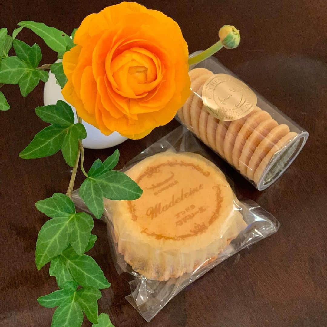 沢瀉美緒のグルメインスタ