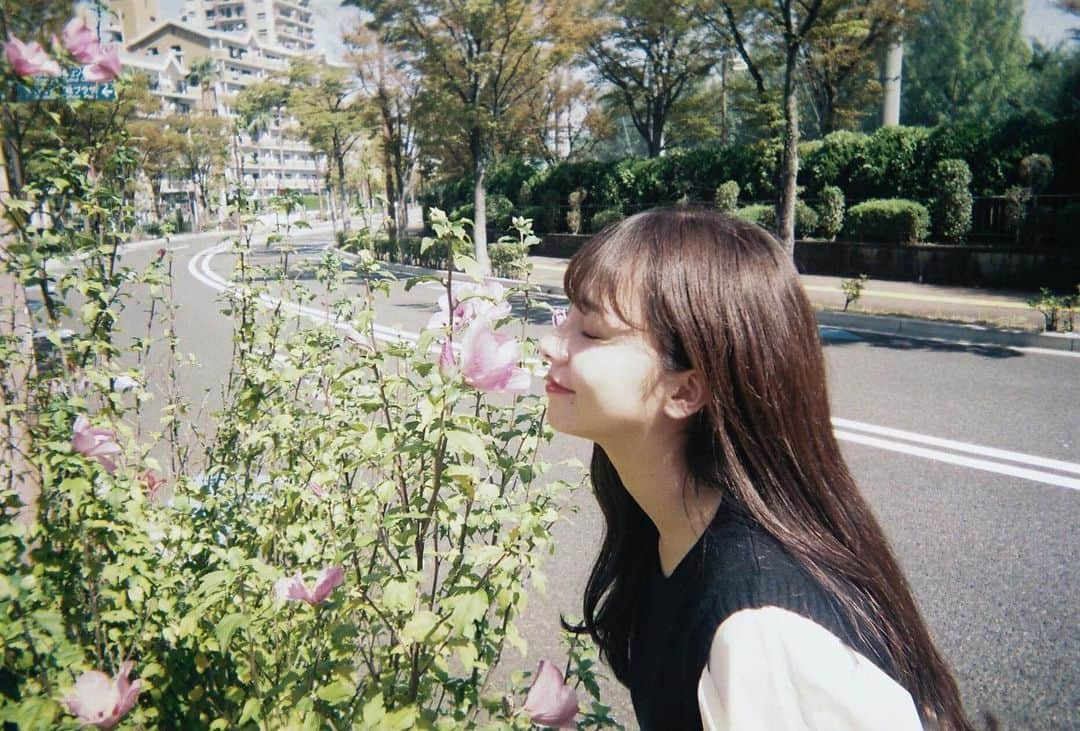 横山紗弓さんのインスタグラム写真 - (横山紗弓Instagram)「ㅤㅤ 今日も一日お疲れ様です💐 よく頑張りました！ 明日は、9:50〜TNC生放送です☺︎ #写ルンです #さゆみの写ルンです  #さゆみのお仕事情報」1月26日 19時40分 - 1129sym