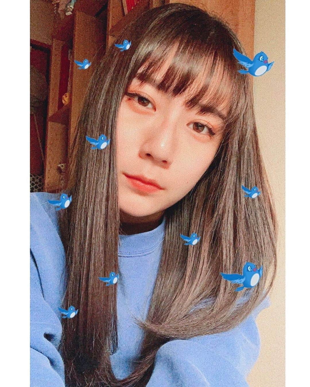 今川宇宙のインスタグラム：「髪に色々住ませてる」