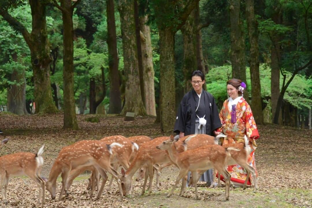 髪型ヘアスタイル・ウエディング、七五三、お宮参りのキキフォトのインスタグラム