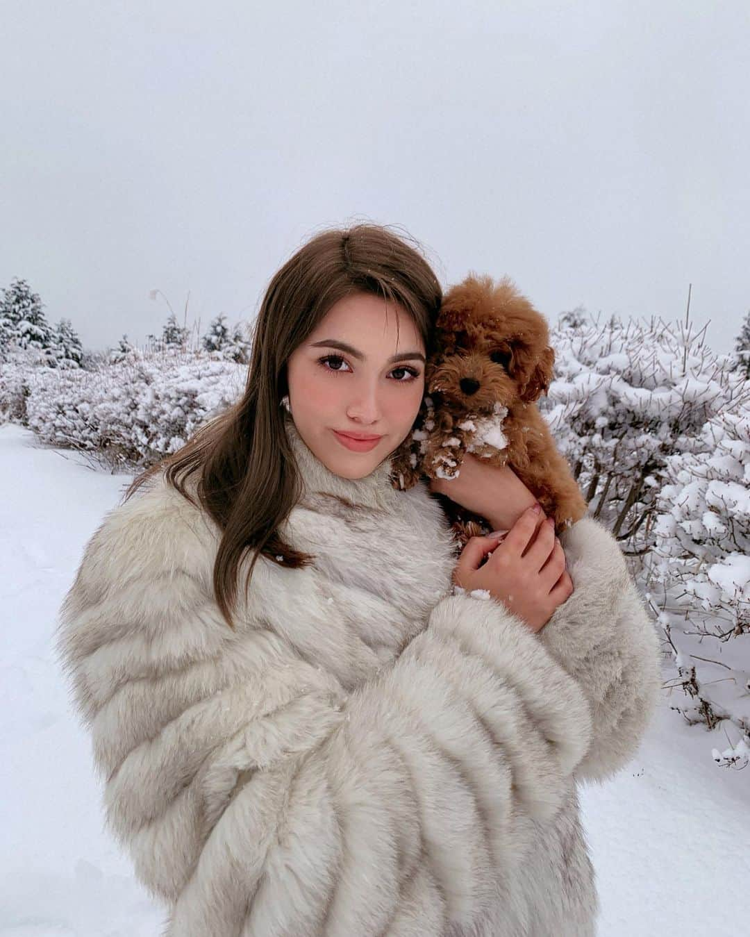 山本マリナのインスタグラム：「山梨旅☃️凄い雪に出会えた❄️ ３枚目は後日カットされたJasmine🐩💜 ・ ・ ・ #山梨 #毛皮 #トイプードル #タイニープードル #旅行 #旅行好き女子 #雪」