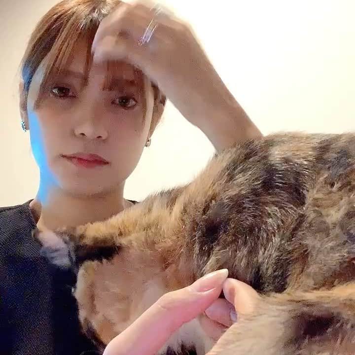 佐々木まゆのインスタグラム：「だそうです」