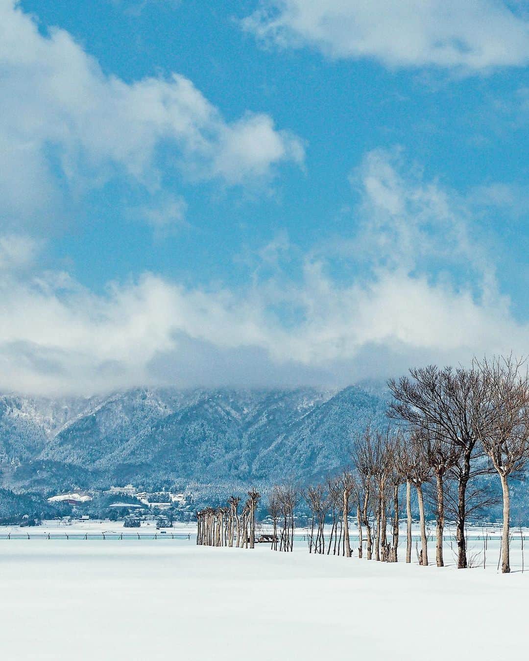 yukiさんのインスタグラム写真 - (yukiInstagram)「・ ・ ・ Wonderful winter days ・ ・ ・ ◉sty830 base shop◉ https://sty830.base.shop/ ・ ・ ・ #新潟　#雪　#雪景色　#夏井のはざ木」1月26日 20時54分 - sty830