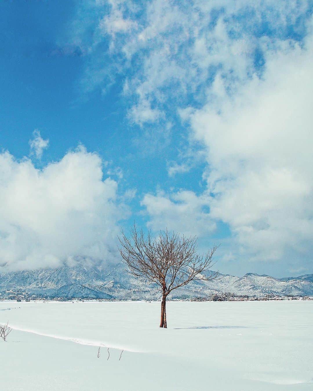 yukiのインスタグラム：「・ ・ ・ Wonderful winter days ・ ・ ・ ◉sty830 base shop◉ https://sty830.base.shop/ ・ ・ ・ #新潟　#雪　#雪景色　#夏井のはざ木」