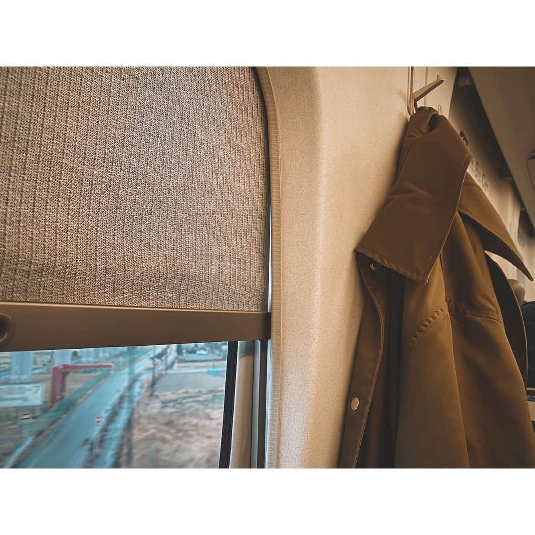 のインスタグラム：「外の色が好きでした。 #tsubaki_factory #岸本ゆめの #きしもとのモト #コートここにかける派」