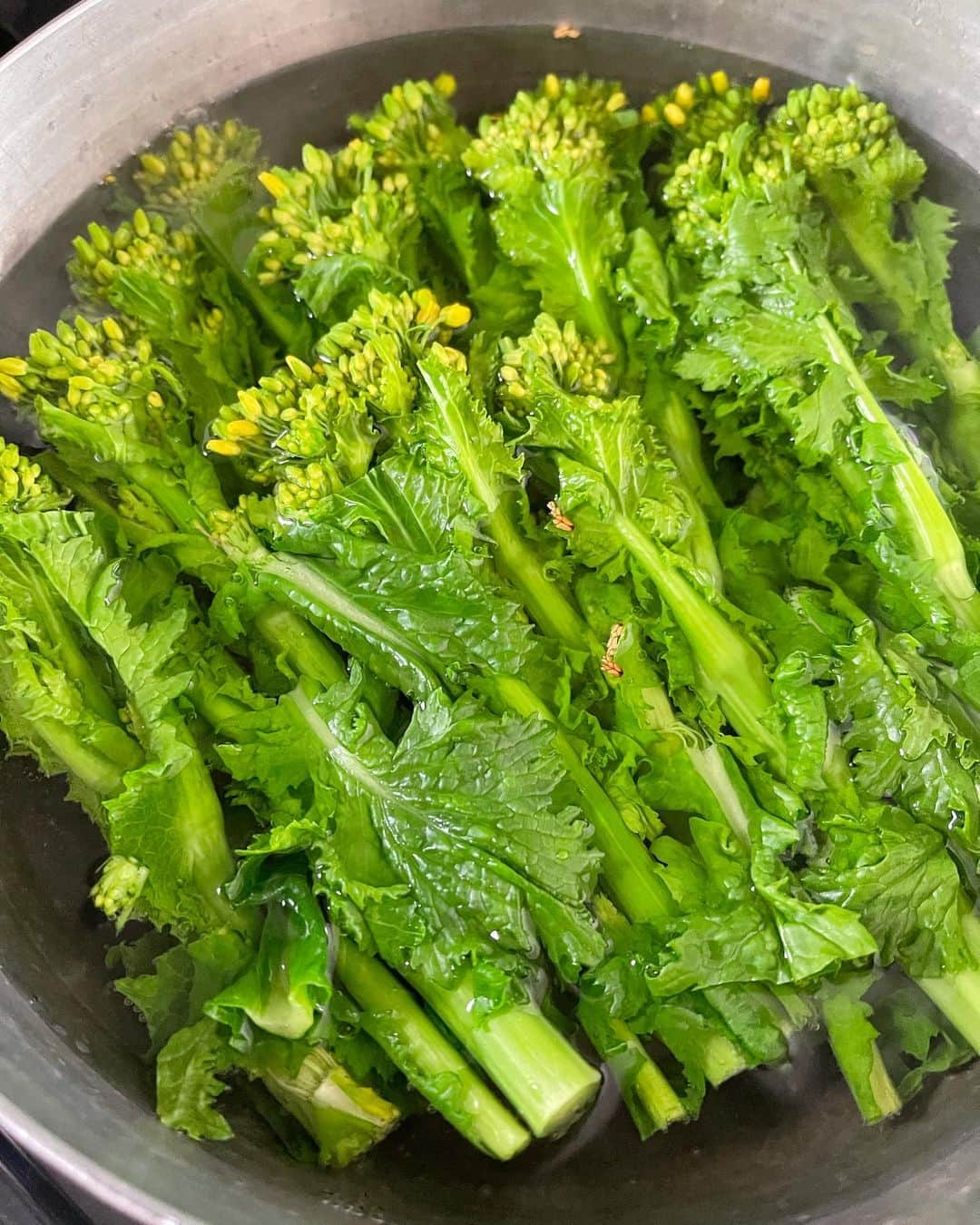 吉野千穂さんのインスタグラム写真 - (吉野千穂Instagram)「千穂飯レシピ🌿 『菜の花のくるみあえ』  まだまだ寒いけど、春の訪れを知らせてくれる菜の花が出始めました🌱菜の花好きとしは買わずにはいられない☺️ 今回はくるみあえにして、菜の花の苦味とあえ衣の甘みが美味しい一品に！ * * 🌱2人分/15分 🌱難易度★⭐︎⭐︎  🌱材料 菜の花　1束200g くるみ　50g  しょうゆ　大さじ1 砂糖　大さじ2/3  ①菜の花をゆでる 鍋にたっぷりの湯をわかし、菜の花を入れて1〜1分30秒ほどゆでる。水にさらして冷まし、水気をしぼる。3cm幅に切る。  ②あえ衣を作る すり鉢にくるみを入れてすり、細かくする。しょうゆ、砂糖を加えて混ぜる。(すり鉢がない場合は、くるみは包丁で細かくし、ボウルで混ぜる。)  ③あえる すり鉢(もしくはボウル)に菜の花を加えてあえる。 * * 🌱千穂メモ〜菜の花〜 「最上級の栄養価」とも言われるほど、ビタミン、ミネラルが豊富で食物繊維も含まれている。 ビタミンCは水溶性なので茹ですぎは禁物！ * * #菜の花#菜の花レシピ#くるみ#くるみ和え#菜の花のごま和え#副菜#簡単副菜#青菜#簡単レシピ#作り置き#作り置きレシピ#常備菜#千穂飯#管理栄養士ごはん#管理栄養士#吉野千穂#おうちごはん#毎日ごはん#朝ごはん#お昼ごはん#晩ごはん#今日のごはん#おうち居酒屋#おつまみ#おつまみレシピ#フードスタイリスト」1月26日 20時59分 - chiho_yoshino