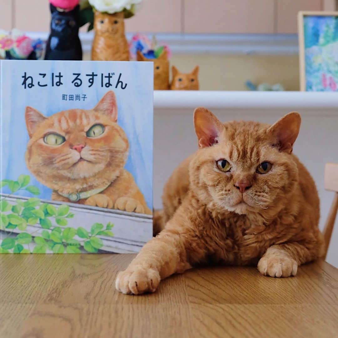 ギネス & ピムスさんのインスタグラム写真 - (ギネス & ピムスInstagram)「26/01/2021 Happy Tuesday! ・ Nagi’s favourite picture book about cats is "Rusuban The Cat". The main character of this book is just like Pimms. Nagi always thinks this cat is Pimm's brother. 😂 Have a fantastic day everyone! ・ ・ ストーリーでも 何度かアップしてたのですが 凪ねこが大好きな絵本 #ねこはるすばん の主人公の猫が ピム丸にそっくり😂 凪ねこもピム丸だと思っていて、 見るたびにピムだと言う。笑 動画の前半は数ヶ月前なので ピムがピプになっている。 ついでに1番好きなシーンは 動画後半に載せた 「カッキーーーン⚾︎」だそうです😂 #町田尚子 さんの猫絵本は どれも大好きです♫ 他にもオススメの絵本があったら 教えて下さい！ ・ ・ #絵本#絵本のある暮らし  #ギネピムと凪くん  #2yearsold #2歳 #2歳1ヶ月」1月26日 20時59分 - rina_takei