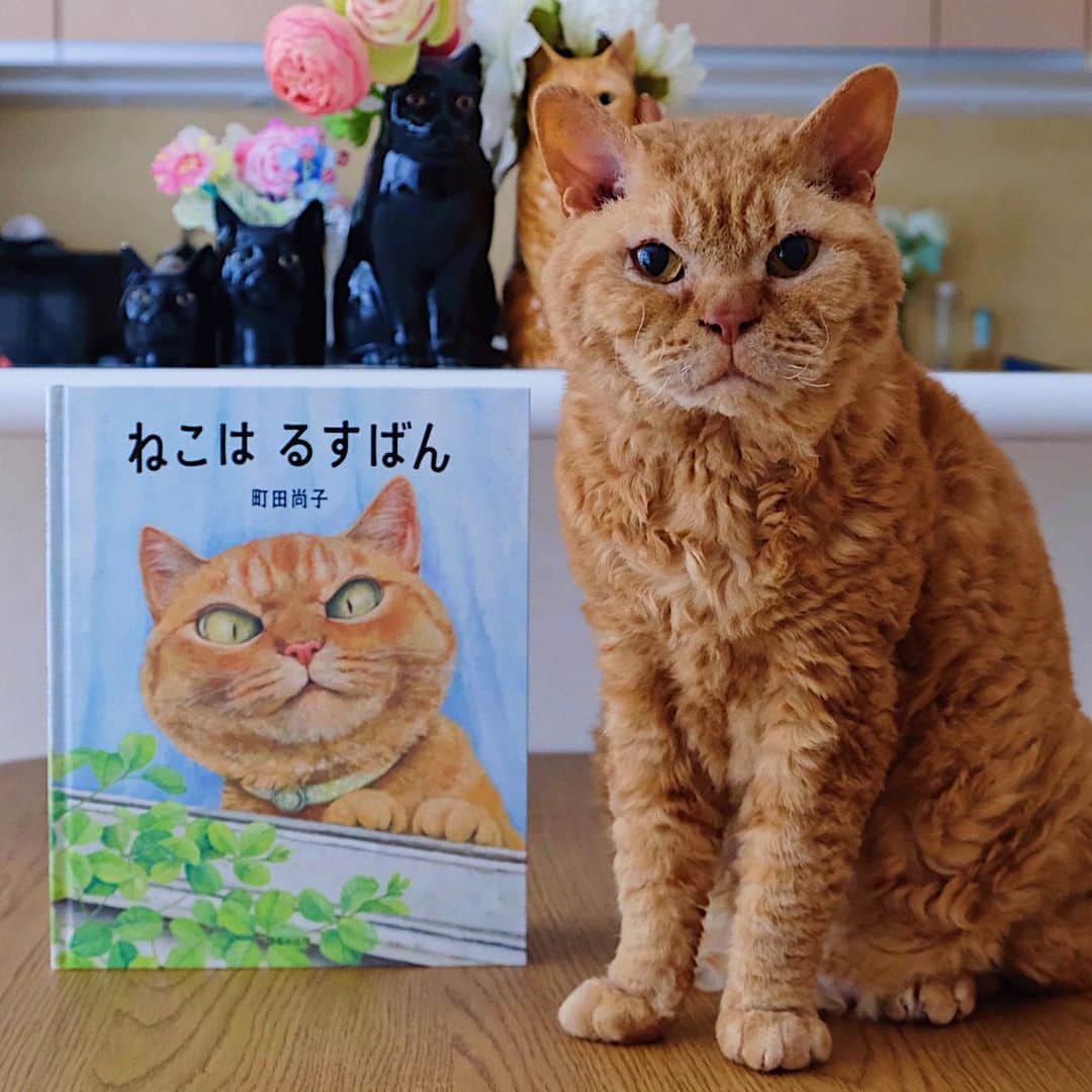のインスタグラム：「26/01/2021 Happy Tuesday! ・ Nagi’s favourite picture book about cats is "Rusuban The Cat". The main character of this book is just like Pimms. Nagi always thinks this cat is Pimm's brother. 😂 Have a fantastic day everyone! ・ ・ ストーリーでも 何度かアップしてたのですが 凪ねこが大好きな絵本 #ねこはるすばん の主人公の猫が ピム丸にそっくり😂 凪ねこもピム丸だと思っていて、 見るたびにピムだと言う。笑 動画の前半は数ヶ月前なので ピムがピプになっている。 ついでに1番好きなシーンは 動画後半に載せた 「カッキーーーン⚾︎」だそうです😂 #町田尚子 さんの猫絵本は どれも大好きです♫ 他にもオススメの絵本があったら 教えて下さい！ ・ ・ #絵本#絵本のある暮らし  #ギネピムと凪くん  #2yearsold #2歳 #2歳1ヶ月」