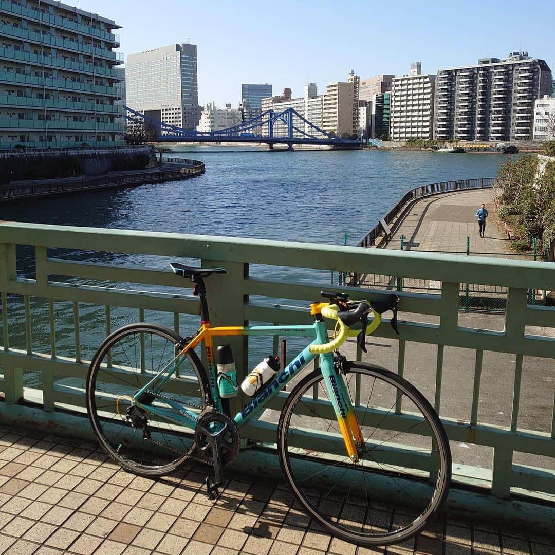 のインスタグラム：「#ridebianchi #bianchiRepartoCorse #bianchiRC #ビアンキ #ビアンキバイクストア #bianchionlinestore  #bianchibikestore #ridebianchi #bianchi #ビアンキ #celeste #yellow」