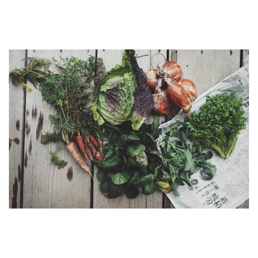 弥香のグルメインスタ